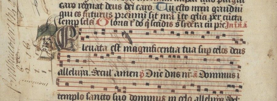 Visite "Parcours médiéval"