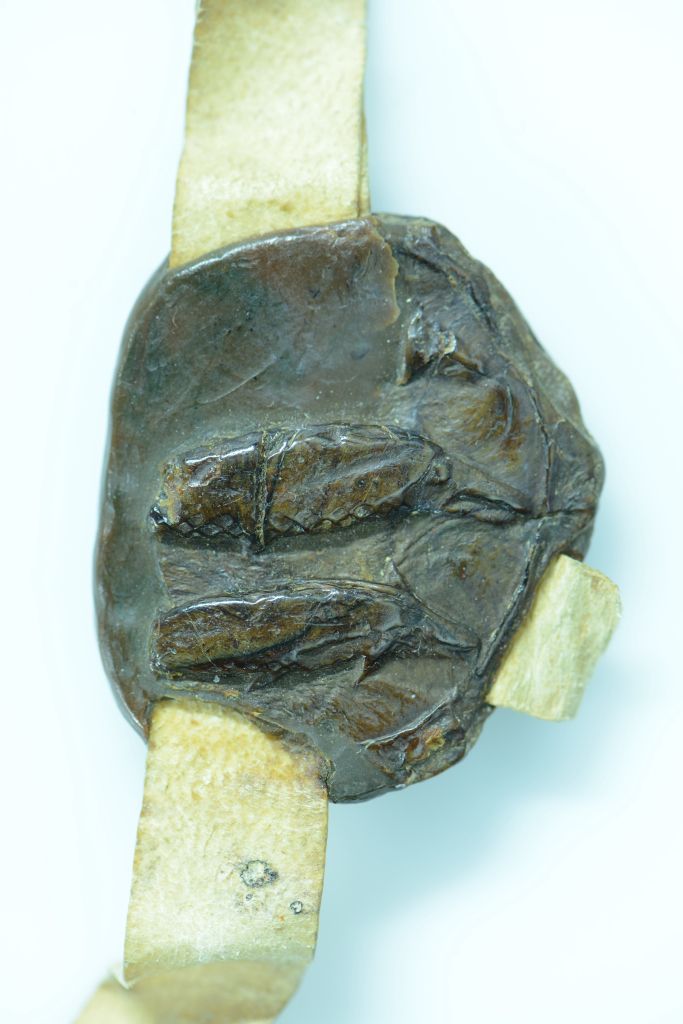 bandeau le pouvoir communal à Poissy